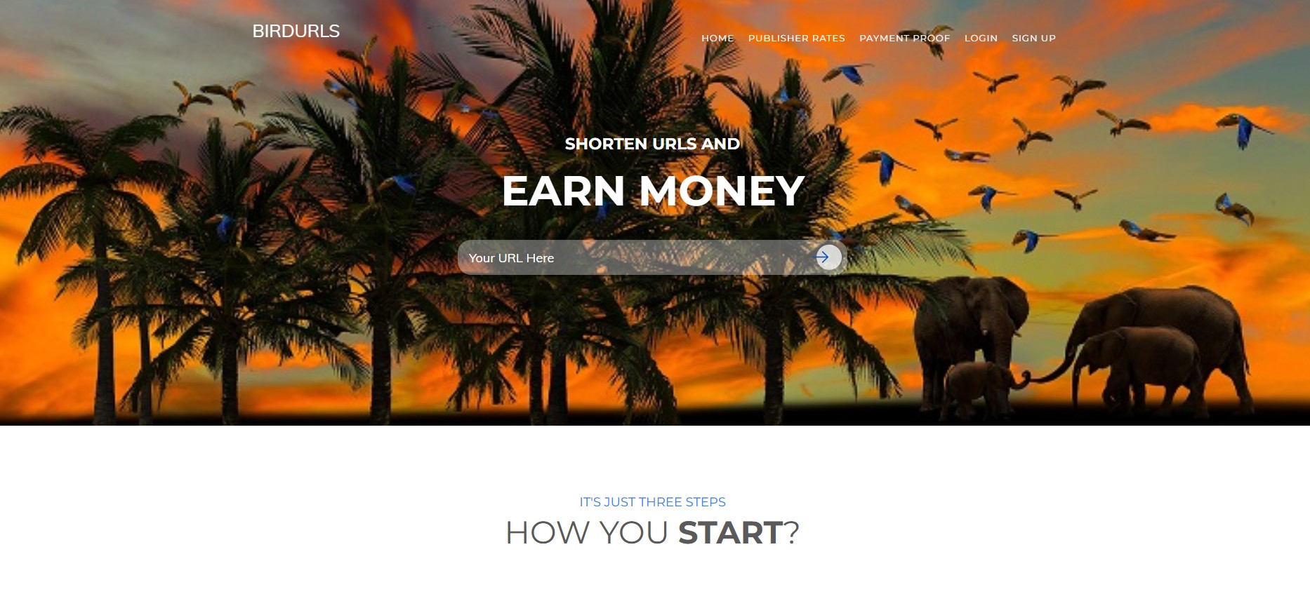 Programme d'affiliation BirdUrls