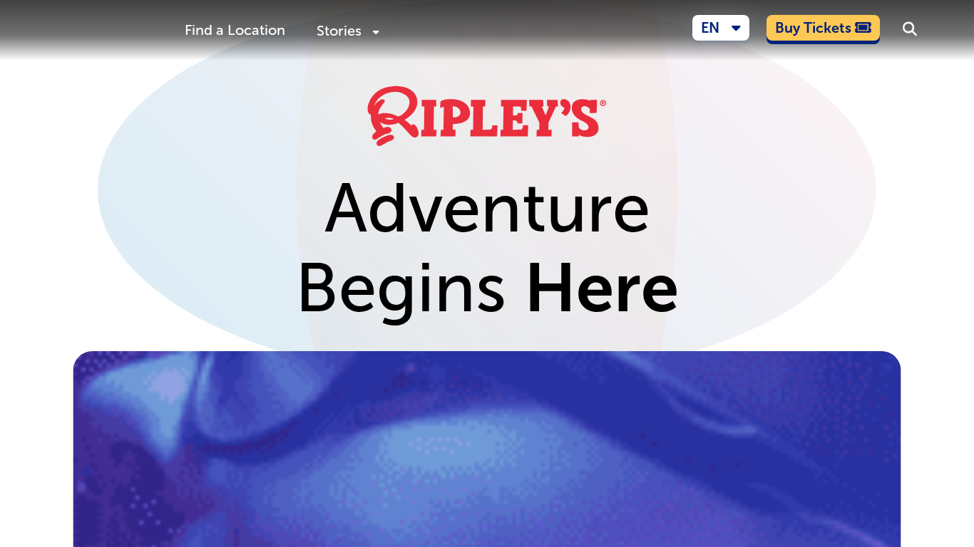 Programme d'affiliation Ripley's