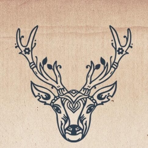 Contact du département d'affiliation Heilkraft