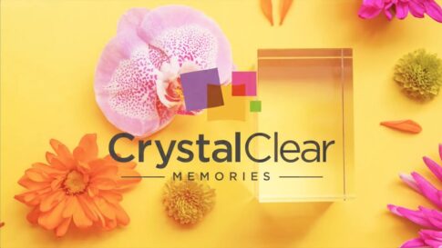 Contact du Département Affiliés de Crystal Clear Memories