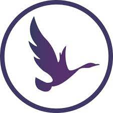 Contact du département des affiliés OdinSchool