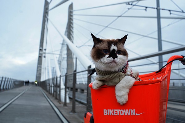 Ways to win back abandoned carts