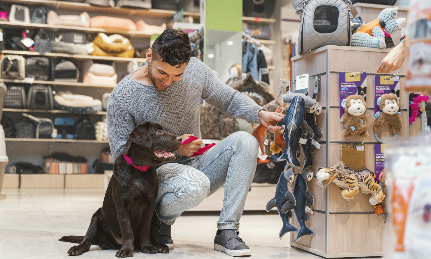 20 meilleurs programmes d'affiliation pour animaux de compagnie en 2025