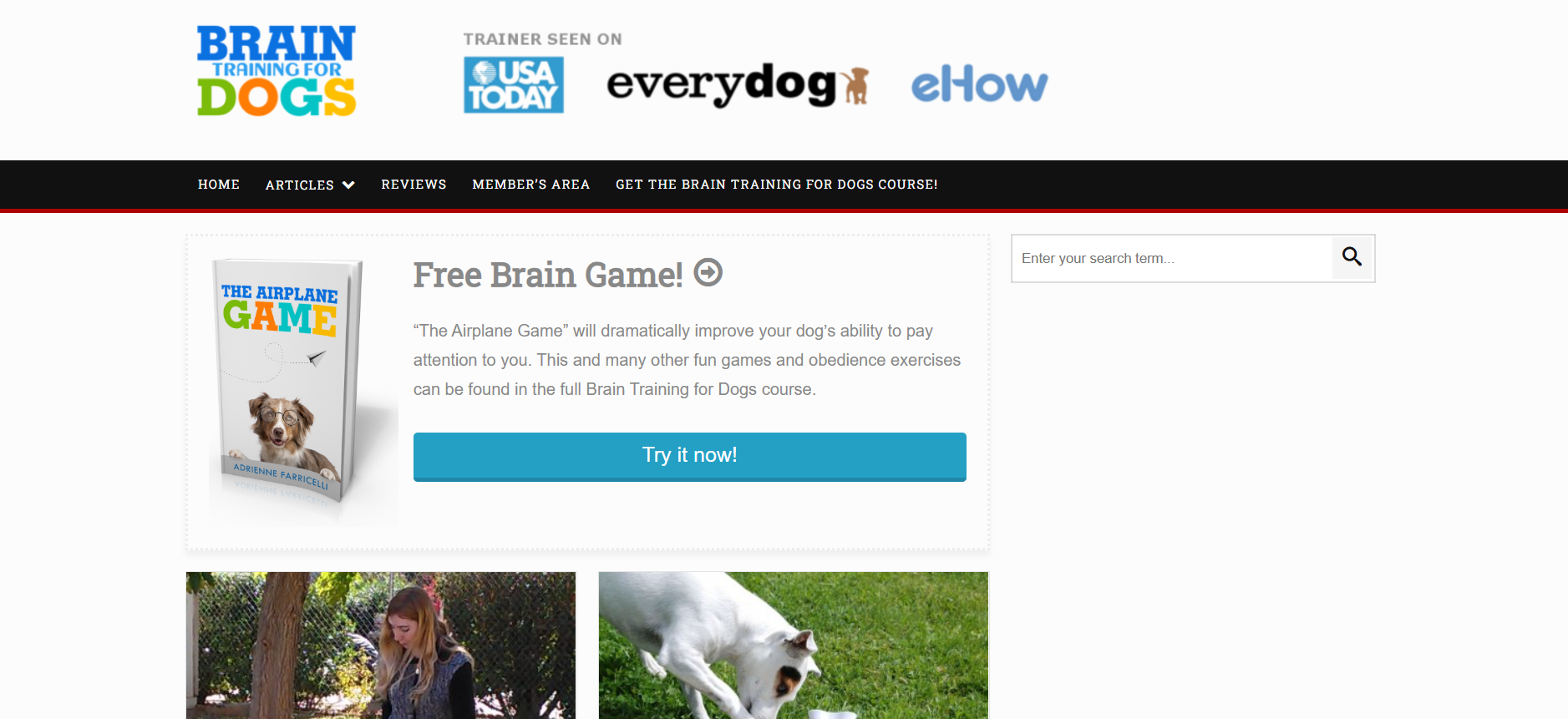 Capture d'écran du site web Brain Training for Dogs